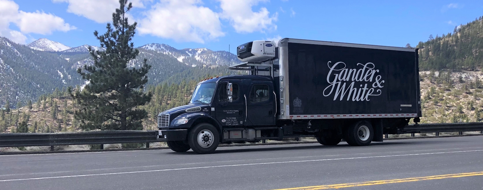 Locations Gander & White